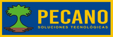 Bienvenido a PECANO ERP Logo